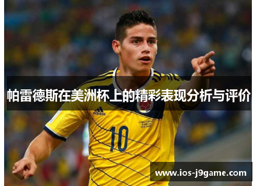 帕雷德斯在美洲杯上的精彩表现分析与评价
