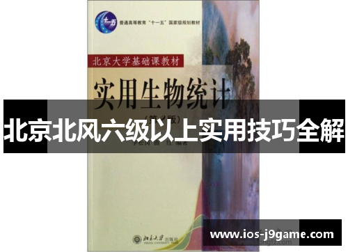 北京北风六级以上实用技巧全解